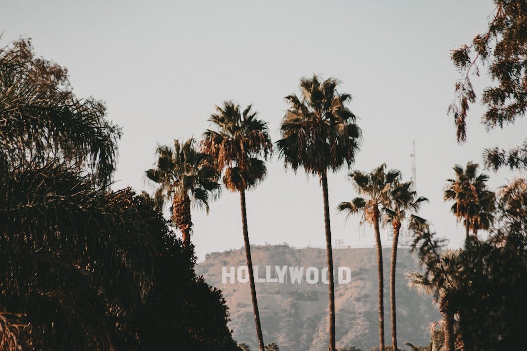 romantic hollywood couple